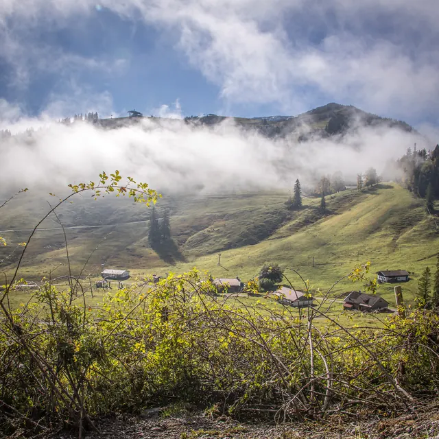 Wisps of fog over green hills with scattered farmhouses