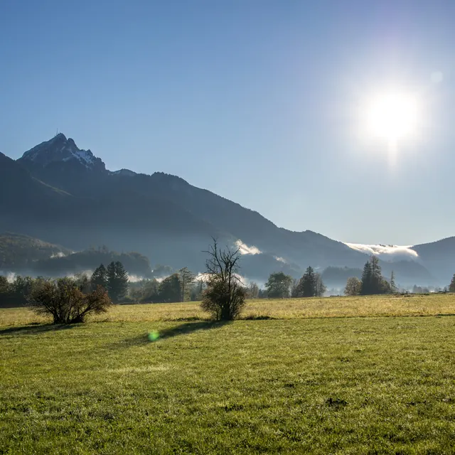 Meadow with trees, mist drifting below mountains in sunlight