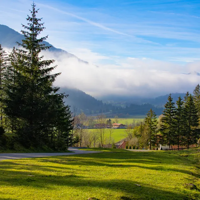 Fog over a valley between mountains, conifers and meadow in the foreground