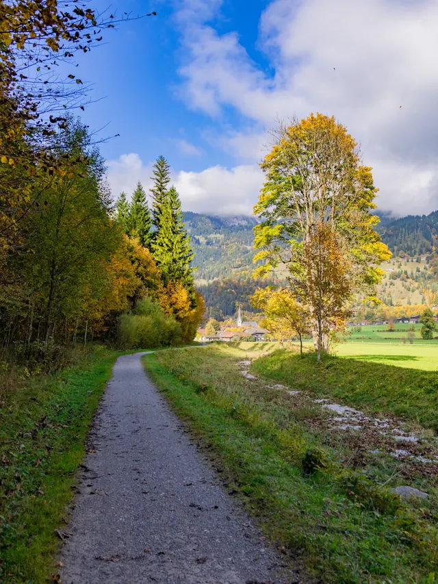 Gravel path between autumn-colored trees and meadows