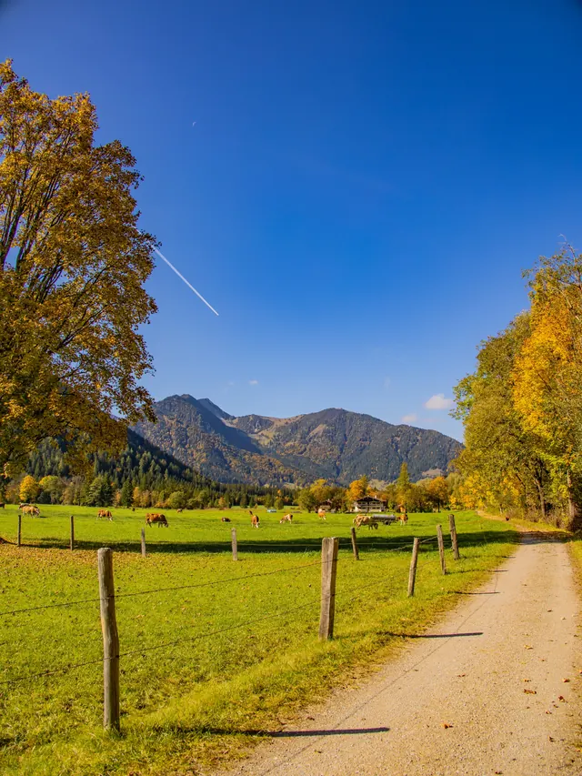 Gravel path along a pasture with mountains in the background