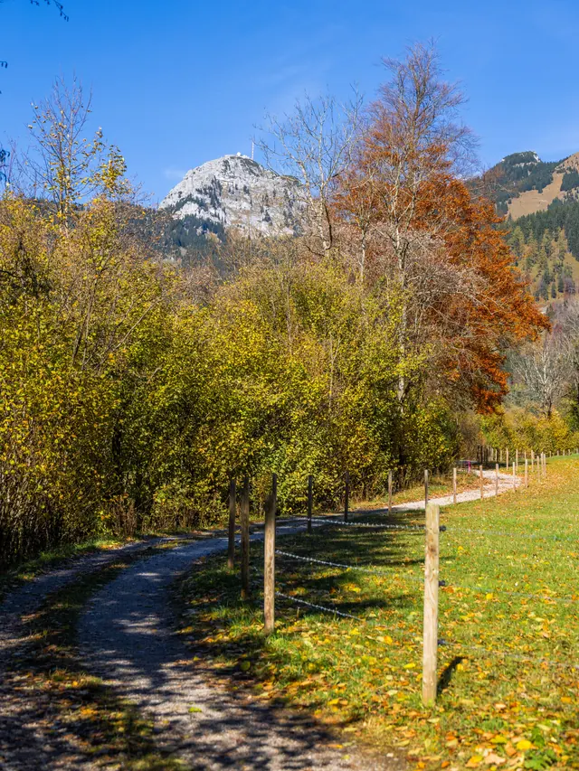 Weg durch herbstlichen Wald mit buntem Laub und Bergblick
