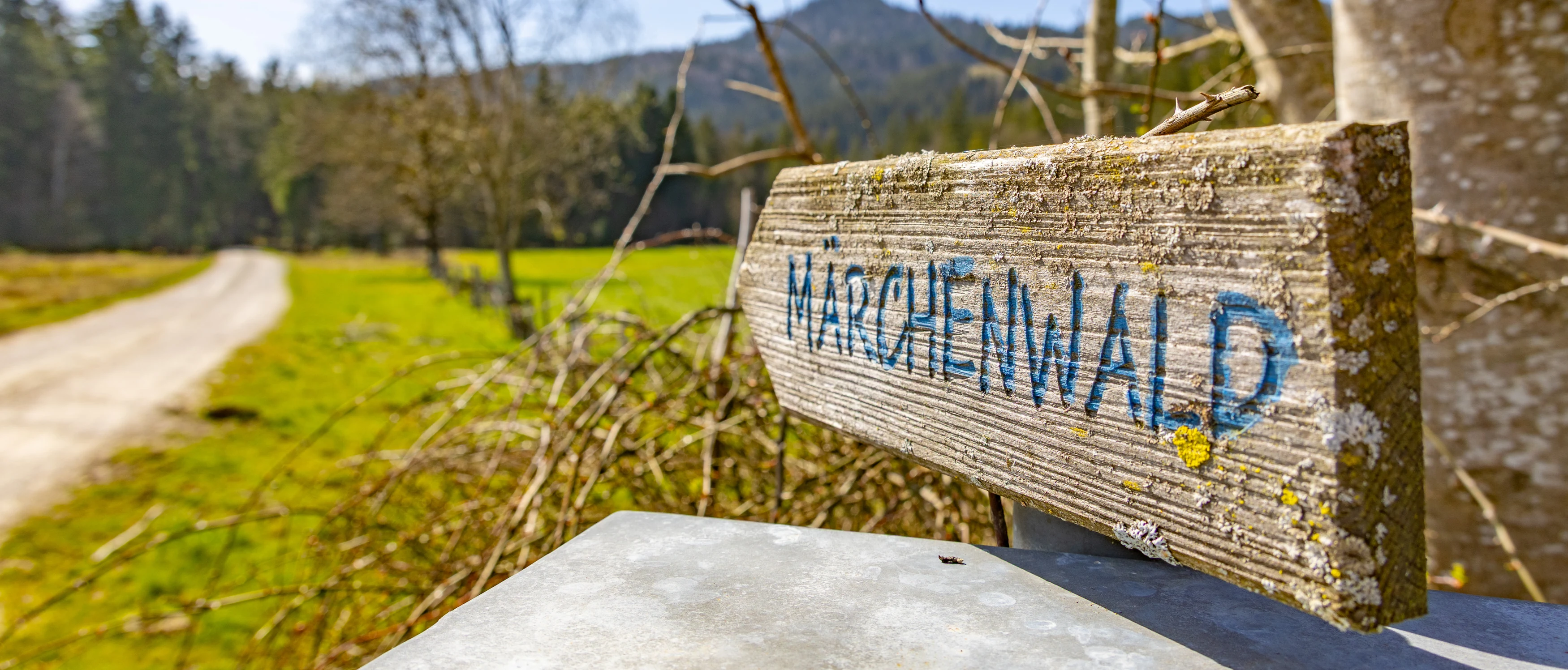 Märchenwald Fischbachau