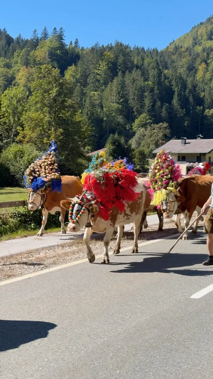 Beitrag von Treffpunkt Bayrischzell