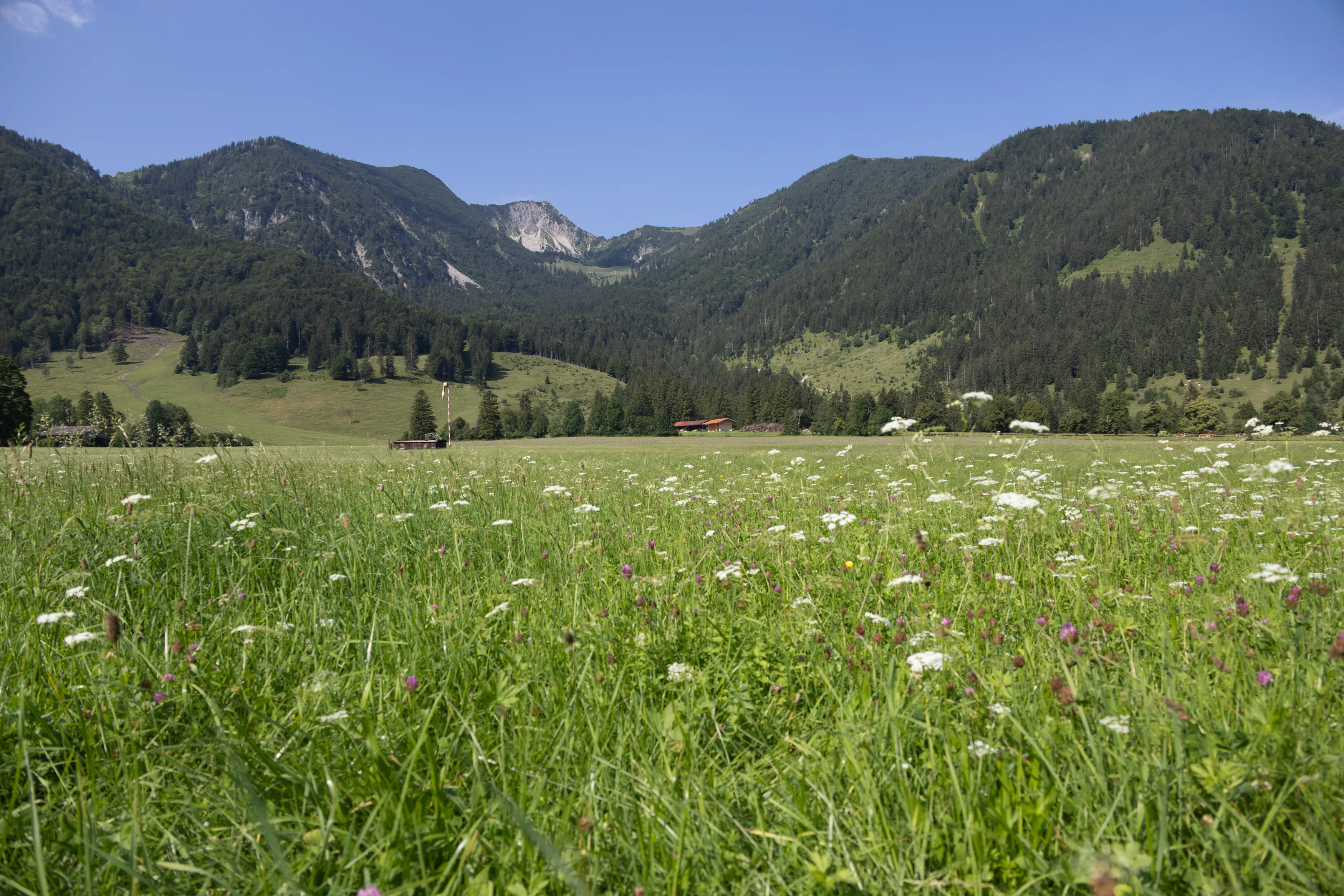 Simone Thomalla bei Verstehen Sie Spaß: reingelegt in Bayrischzell