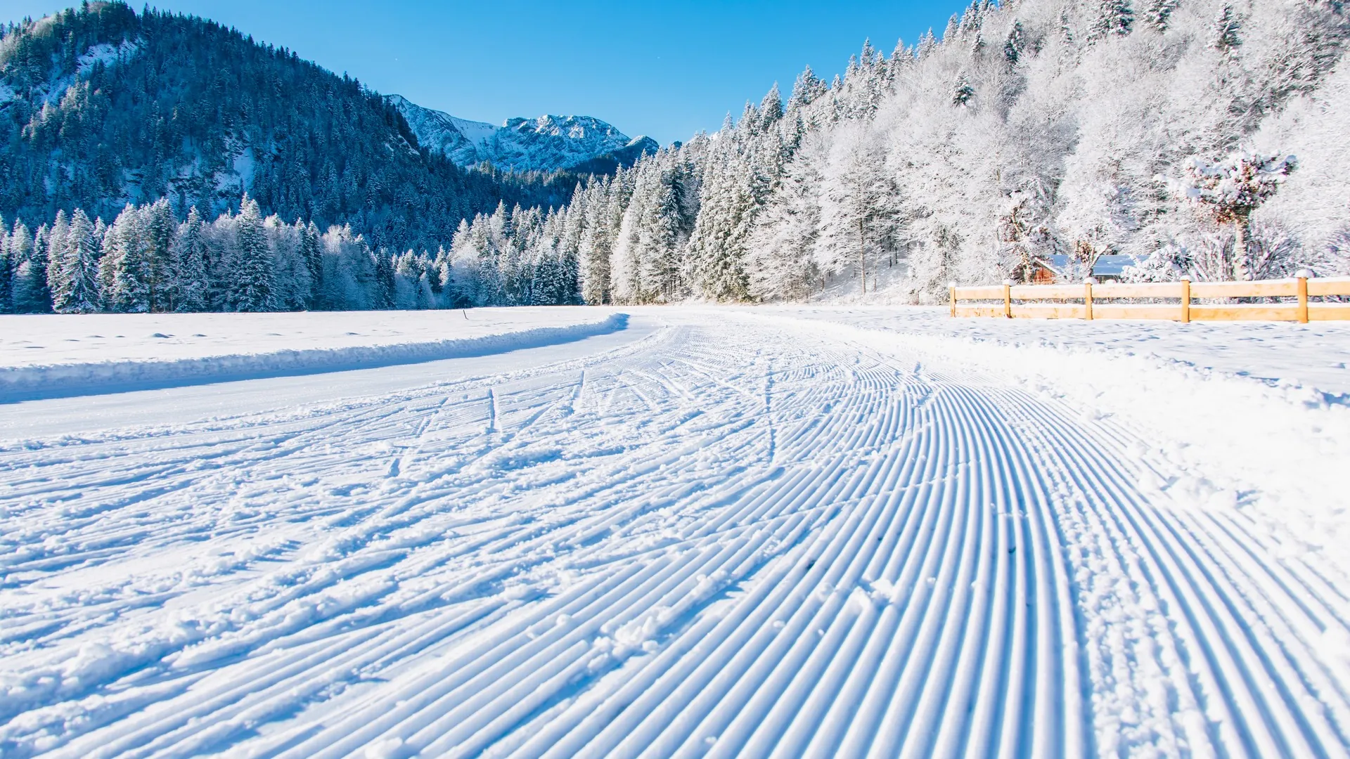 Langlauf in Bayrischzell