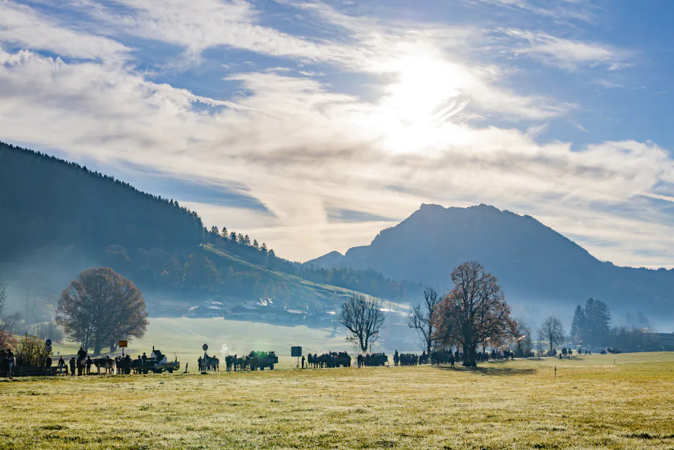 Der Zug vor den Bergen im Leitzachtal