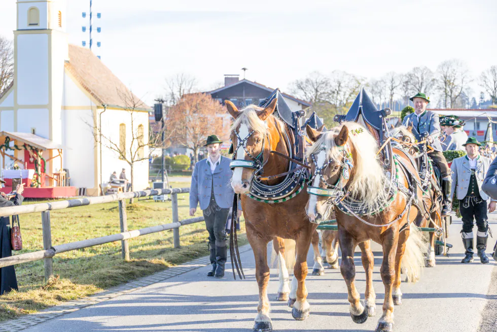 Haflinger-Gespann auf dem Weg zur Kapelle