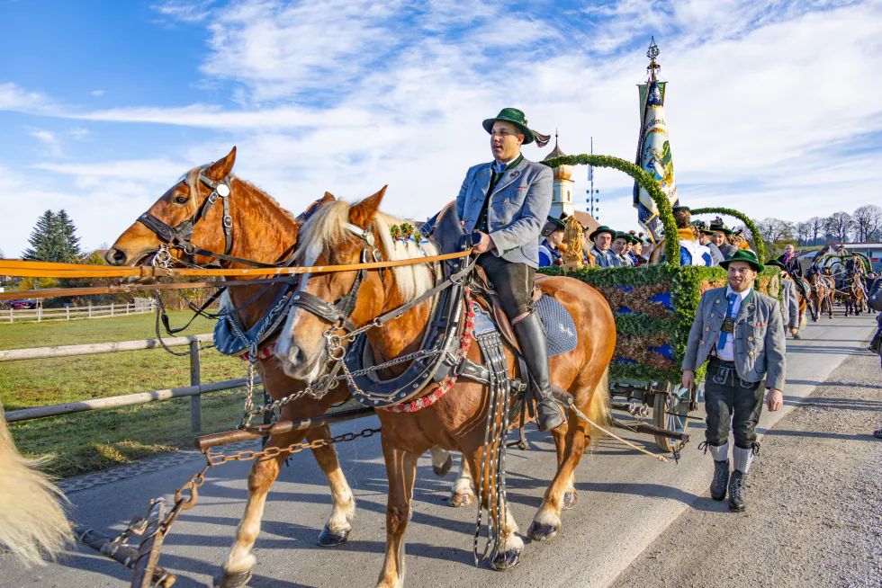 Zweispänner mit geschmücktem Festwagen