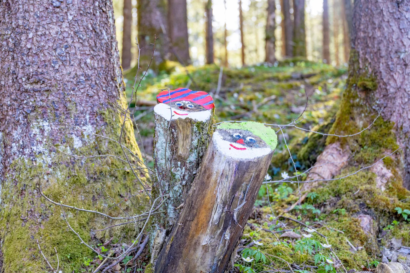 The flat, stroller-friendly path through the Fairytale Forest
