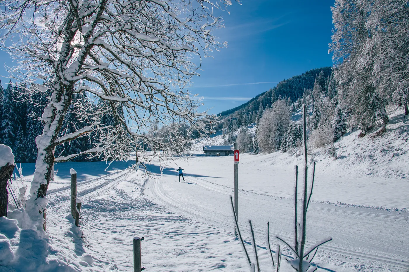 Loipe am Waldrand