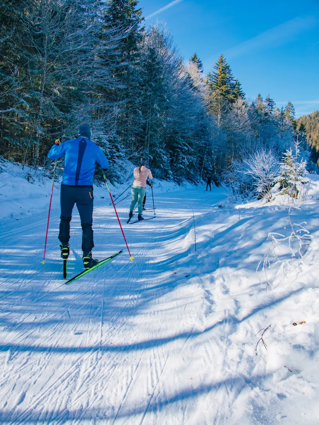 Klassisch durch den Winterwald