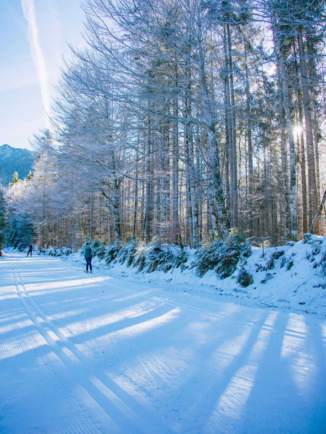 Raureif im Hochwald