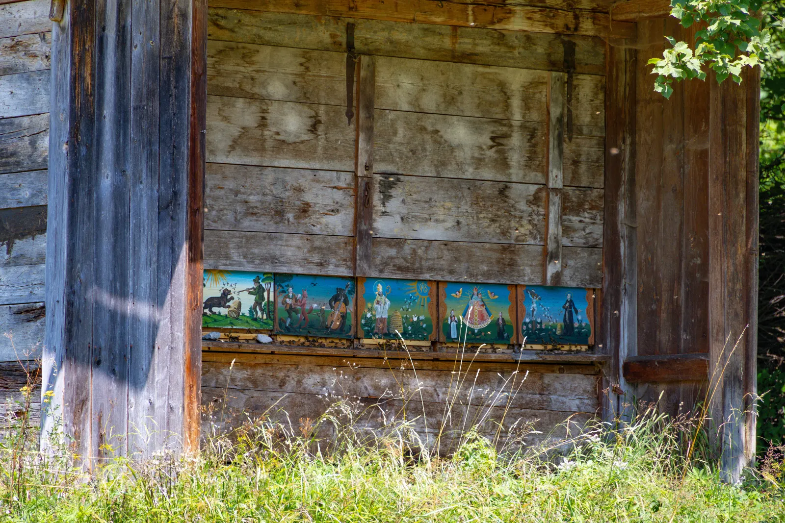 The bee house