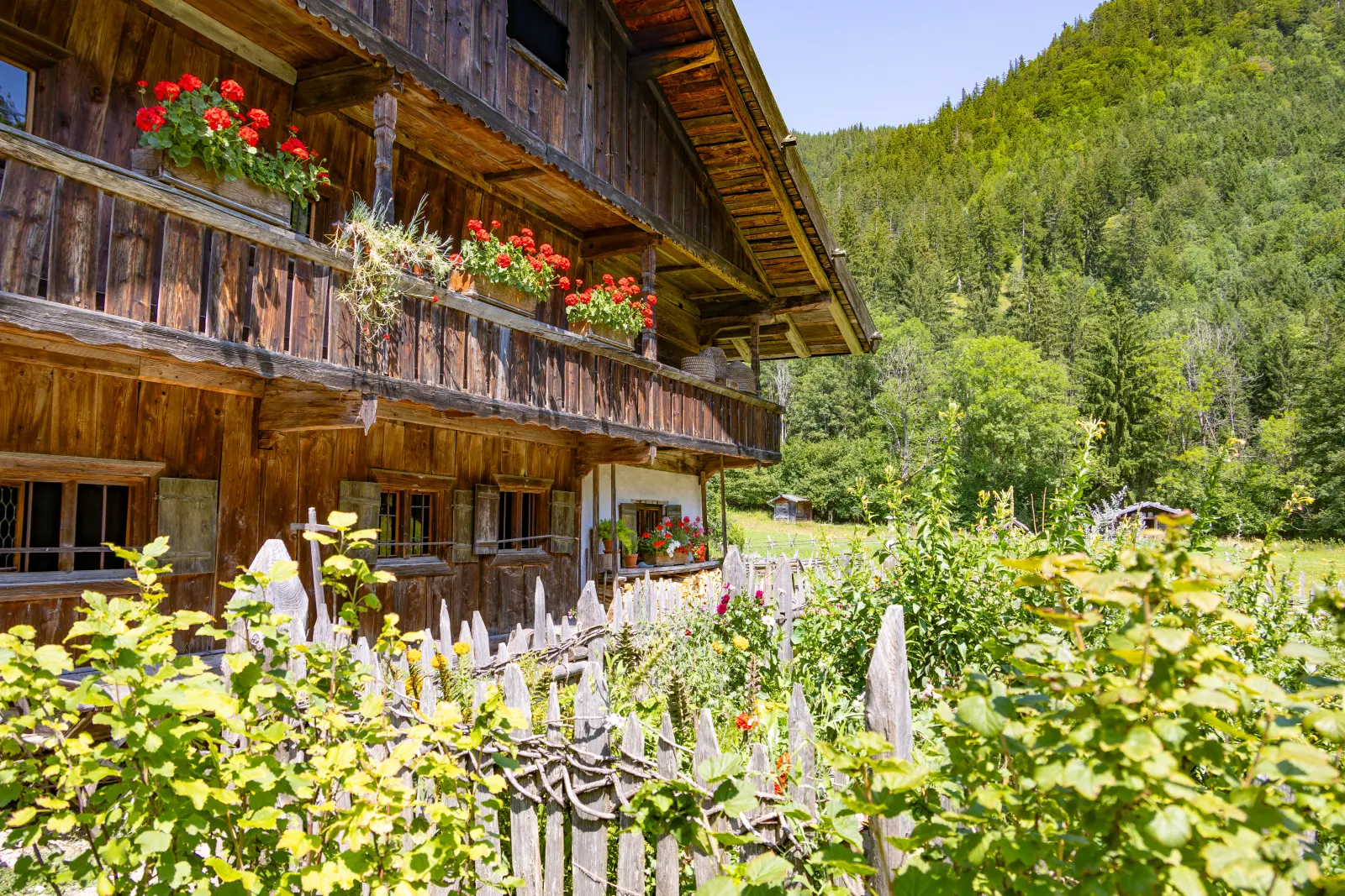 Looking out over the museum village in summer