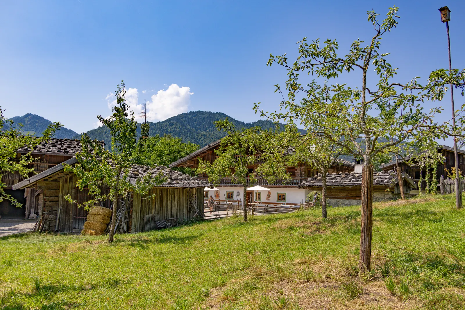 Through the orchard toward the main house