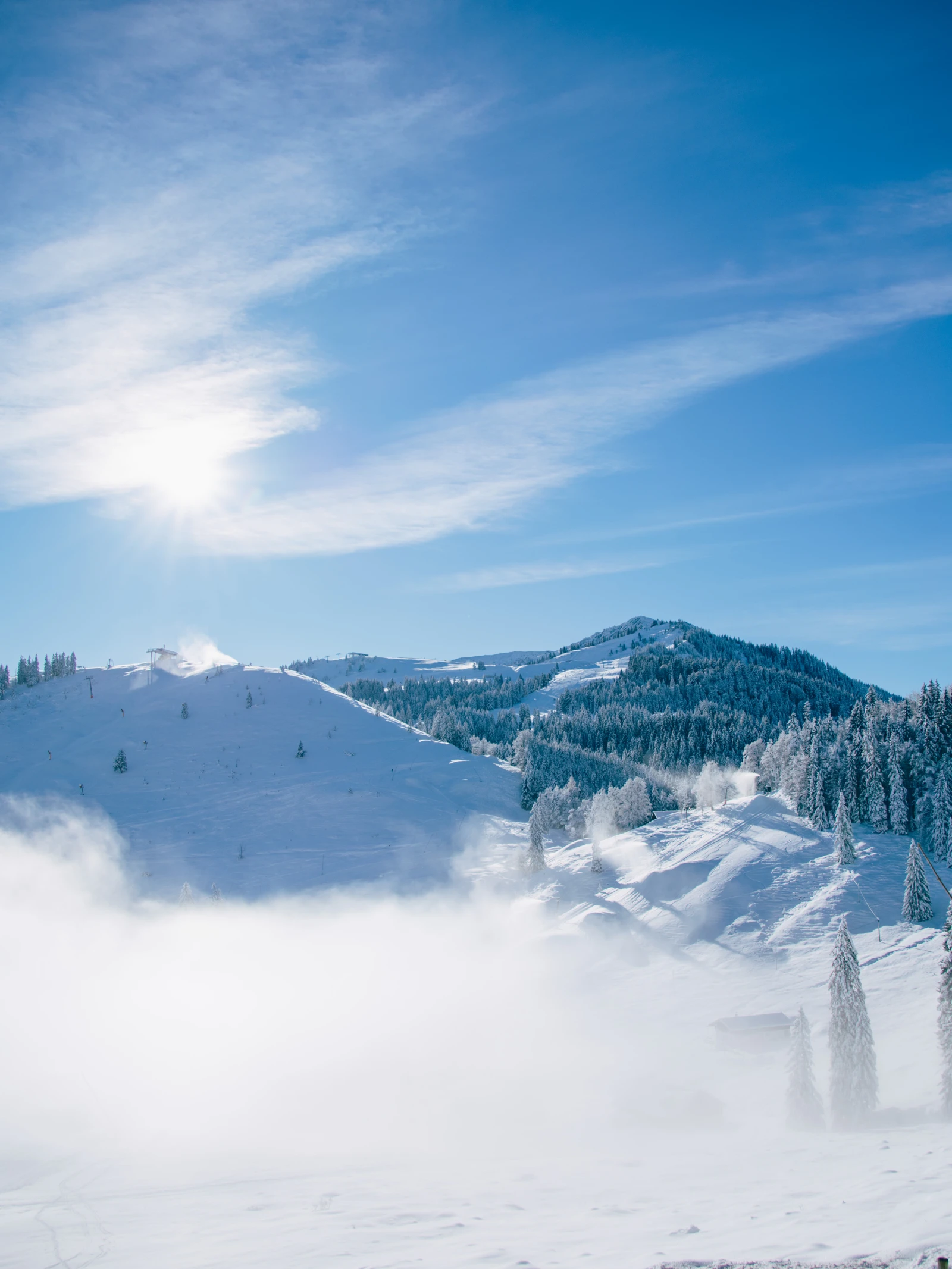 Sonniger Wintertag am Berg