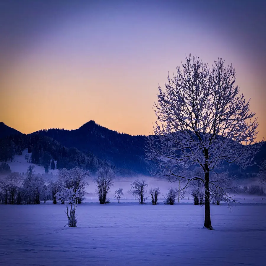 Loipen im Leitzachtal, Januar 2024