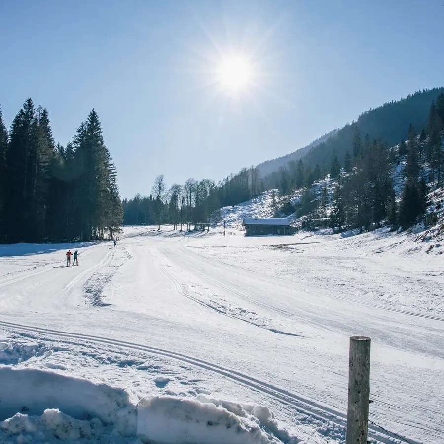 Loipen im Leitzachtal, Januar 2025