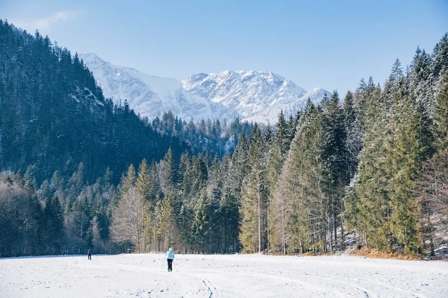 Loipen im Leitzachtal, Februar 2025