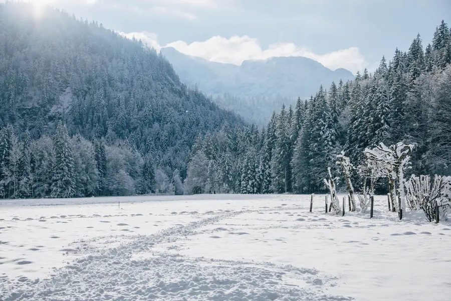 Loipen im Leitzachtal, Dezember 2024