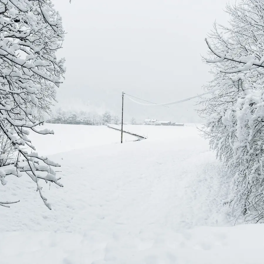 Loipen im Leitzachtal, Januar 2024