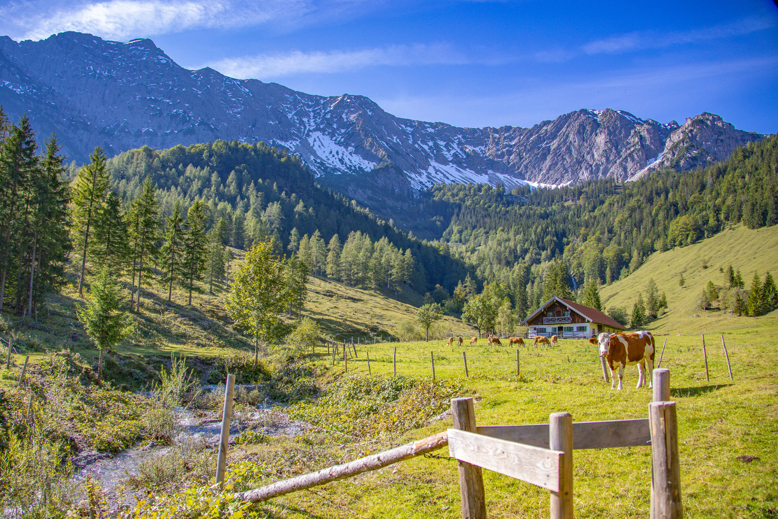 Aktuelle Staffeln Frühling