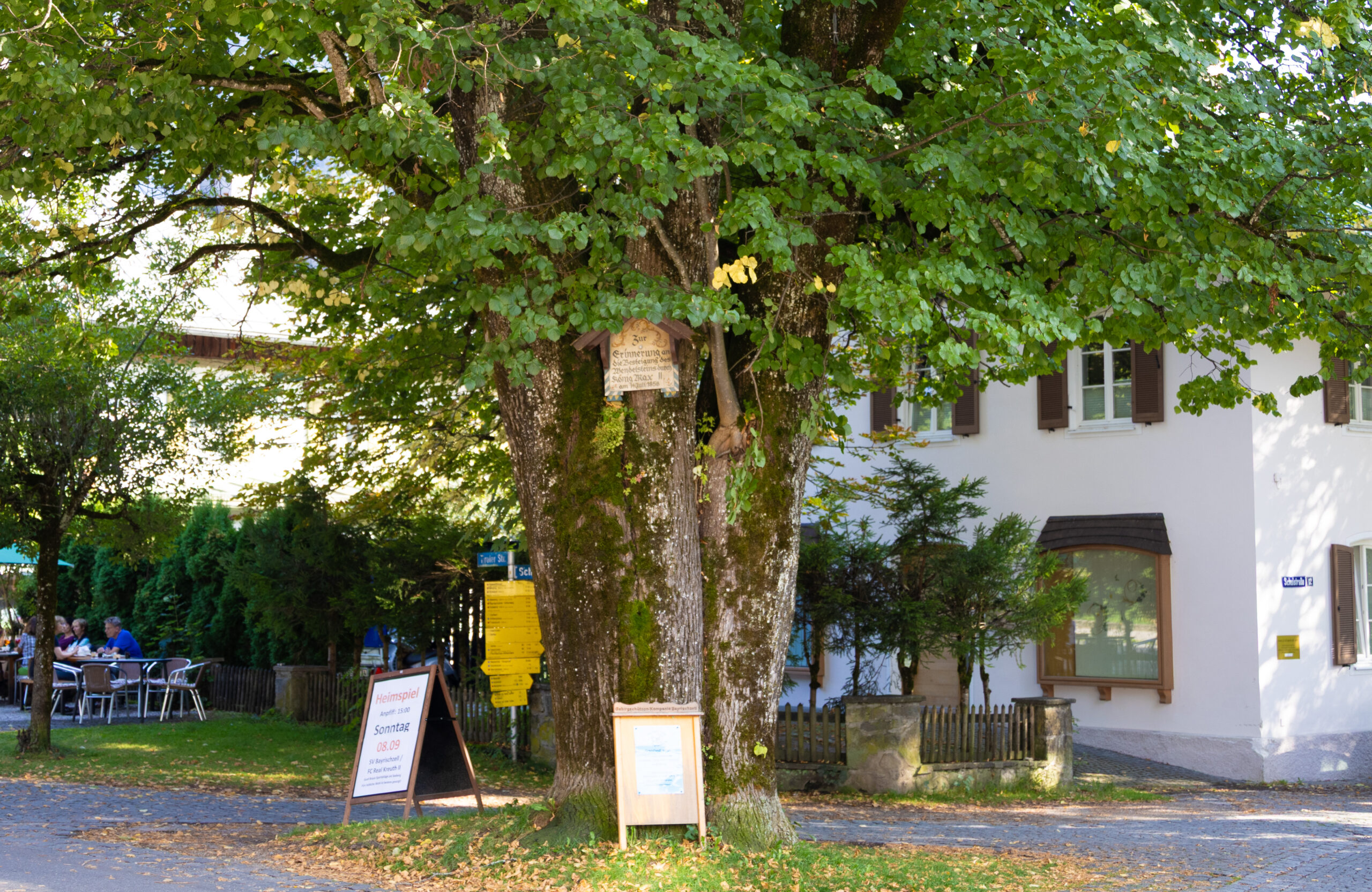 Königslinde Bayrischzell
