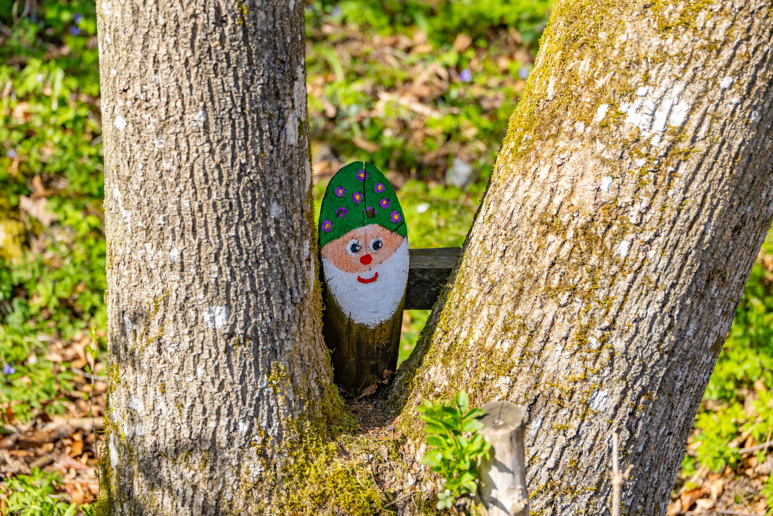 Märchenwald Fischbachau — Familienrunde im Leitzachtal