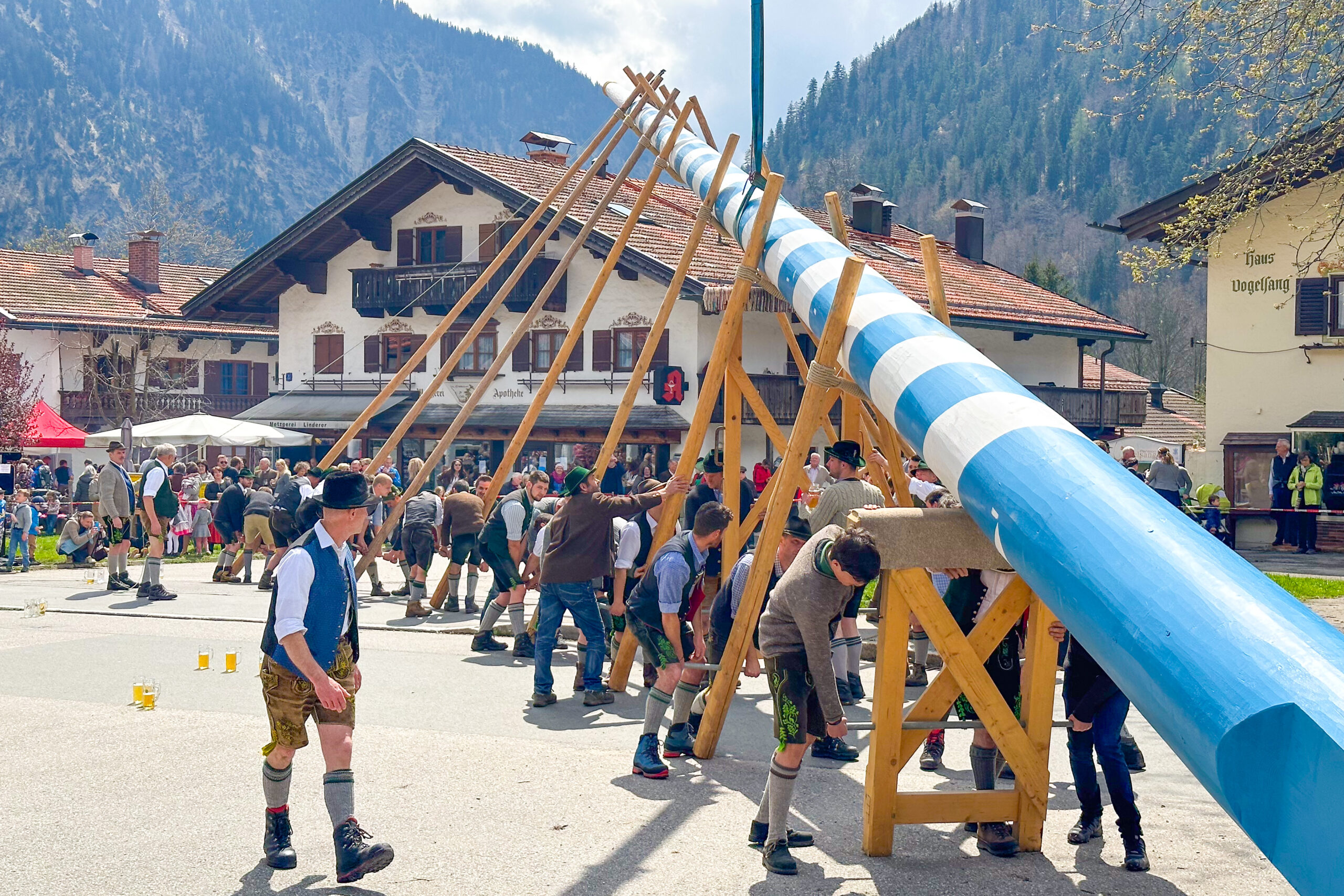 Maibaum wird von Hand hochgezogen in Bayrischzell
